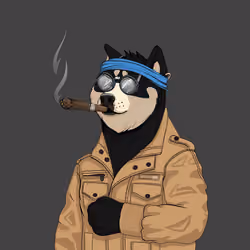 Doge #6515