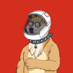 Doge #6189