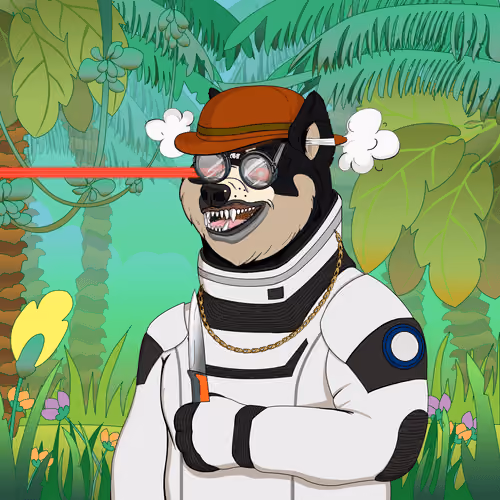 Doge #1253