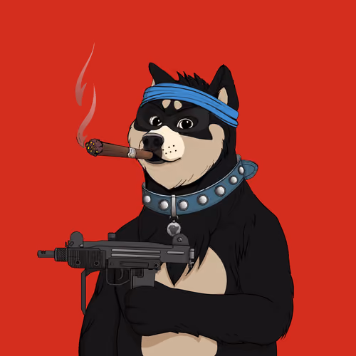 Doge #6567