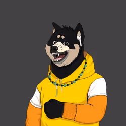 Doge #776