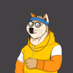 Doge #6371