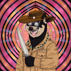 Doge #3587