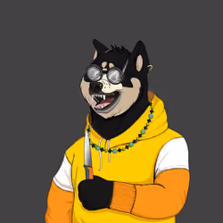 Doge #487