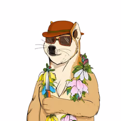 Doge #4521