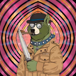 Doge #3366