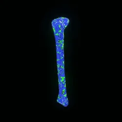 9043
