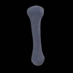 Party Bone #2518