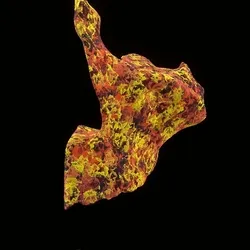 Party Bone #62