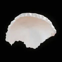 10052