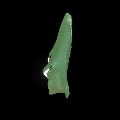 Party Bone #4684