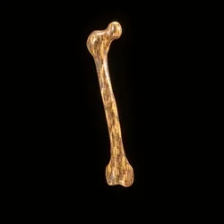 Party Bone #6704