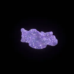 3709