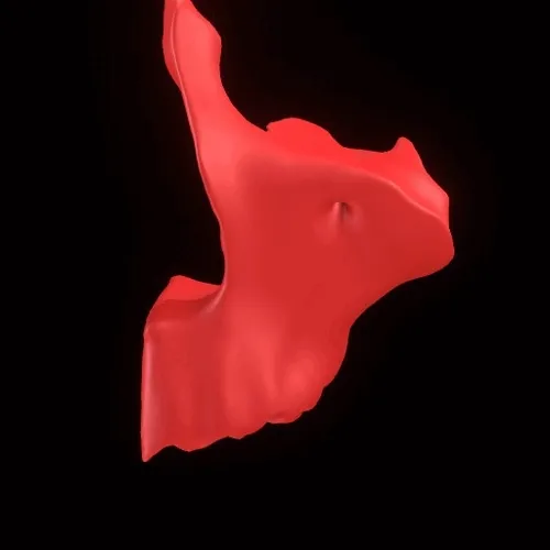 Partybones
