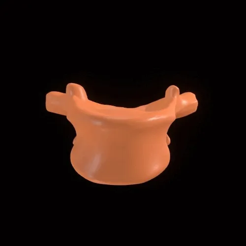 Partybones