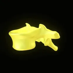 10294