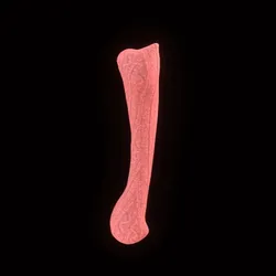 3343