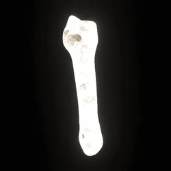 Party Bone #5909