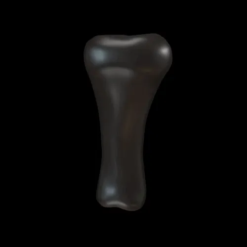 Partybones
