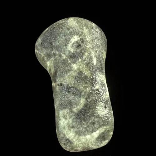 Party Bone #8264