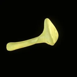 Party Bone #8834