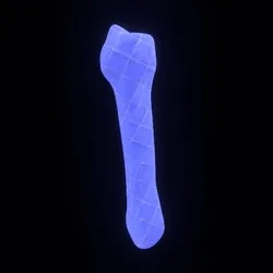 Party Bone #3643
