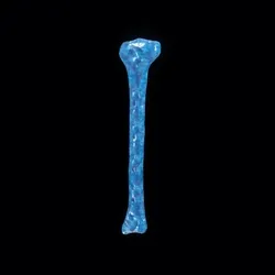Party Bone #4830