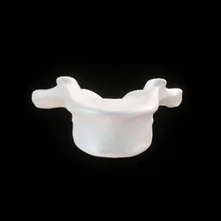 Party Bone #10087