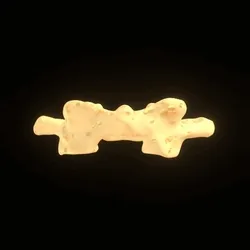 Party Bone #2267