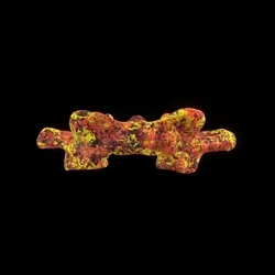 Party Bone #1