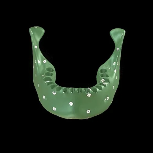 Party Bone #4635