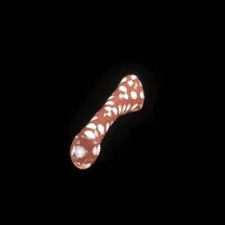 Party Bone #6340