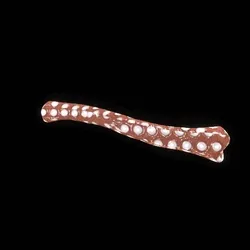 Party Bone #6287