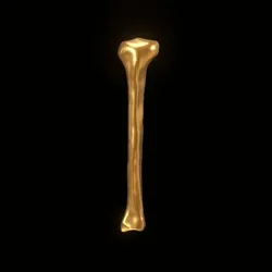 Party Bone #4212