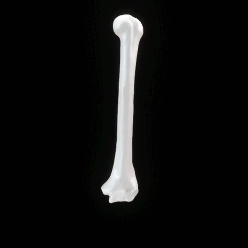 Partybones