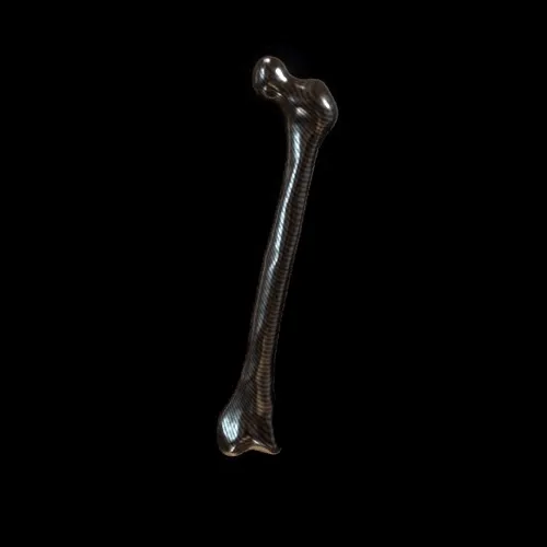 Partybones