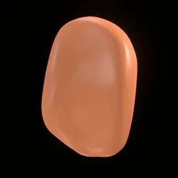 Party Bone #3150