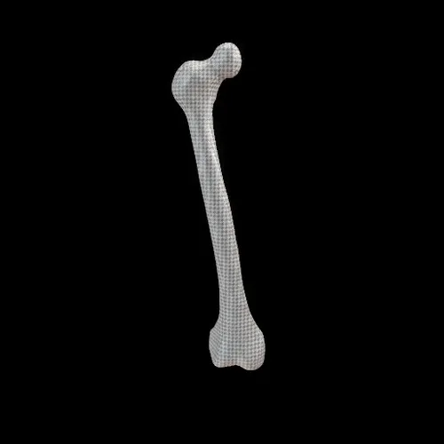 Party Bone #1760
