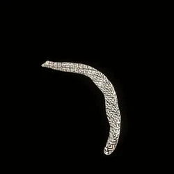 Party Bone #9353
