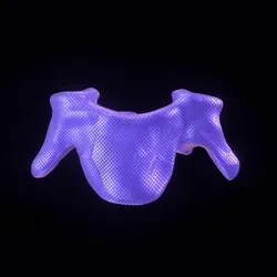 Party Bone #7418