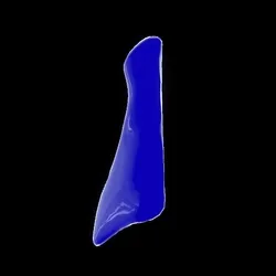Party Bone #367