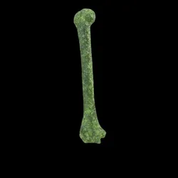 Party Bone #6123