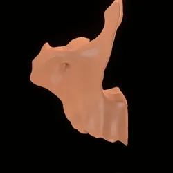Party Bone #3245