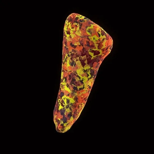 Partybones