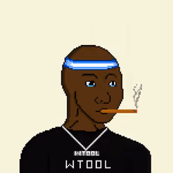 WTOOL #3080