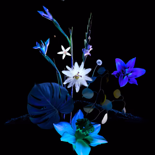 Bloom Pt 1 By Maggie West