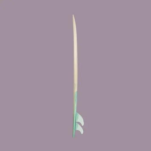 Raxworld X Coco Ho Surfboard Series 1