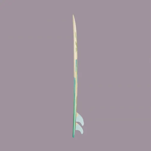 Coco Ho Surfboard (Series 1) #0375