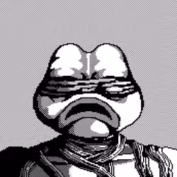 66