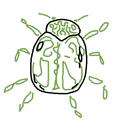 Cult Beetles